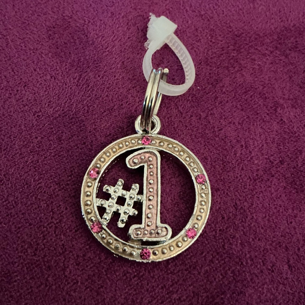 GANZ Pet Collar Charm Tag “#1”